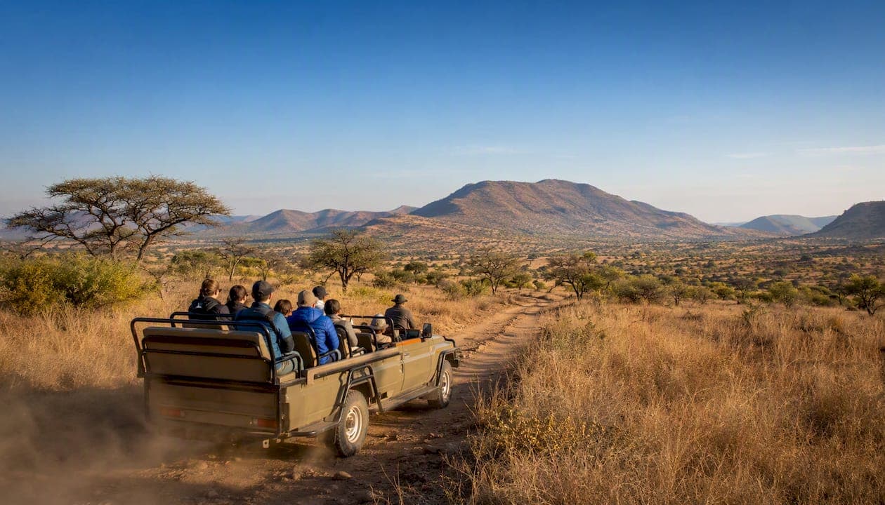 The Closest Safaris to Johannesburg (And Which One to Book)