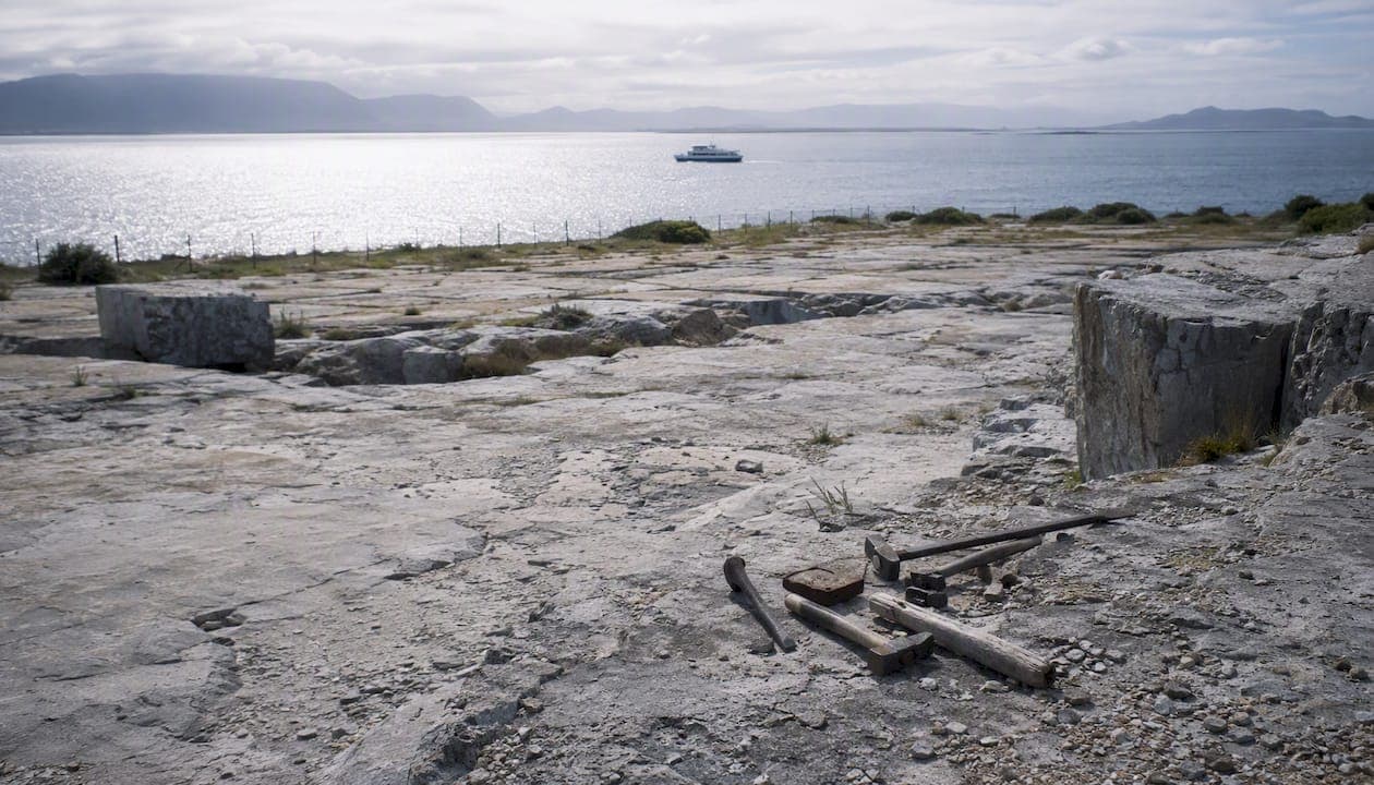 Robben Island Tour Guide: What to Expect and How to Prepare