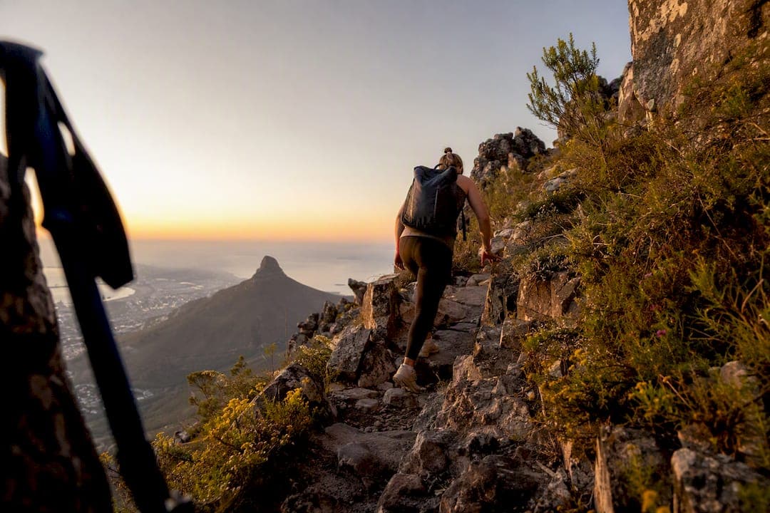 Cape Town: Pick the Right Table Mountain Hike, 1.5–3 Hour Routes