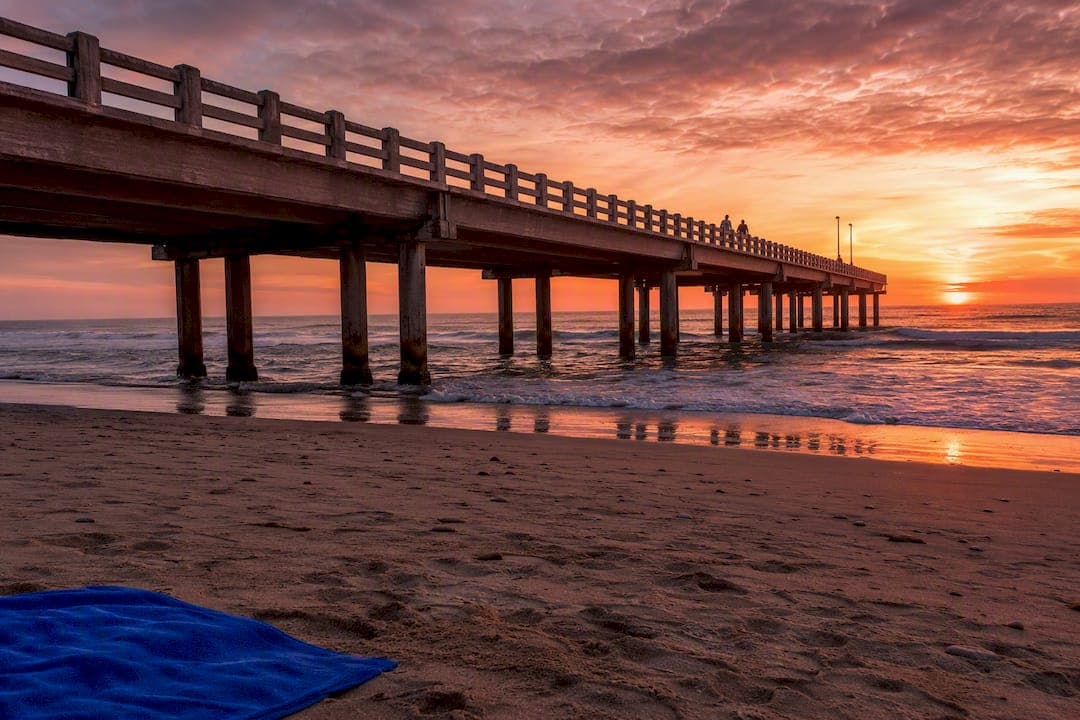 Plan 1–2 Days in Port Elizabeth: 12 Things to Do
