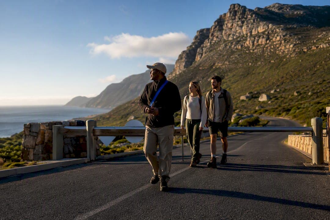 R110 Park Entry, Cape Town Travelers: What a Cape Point Tour Guide Handles