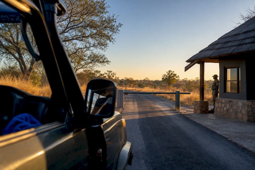 Avoid Hidden Fees on Kruger Safaris in South Africa From ZAR 1,800/day