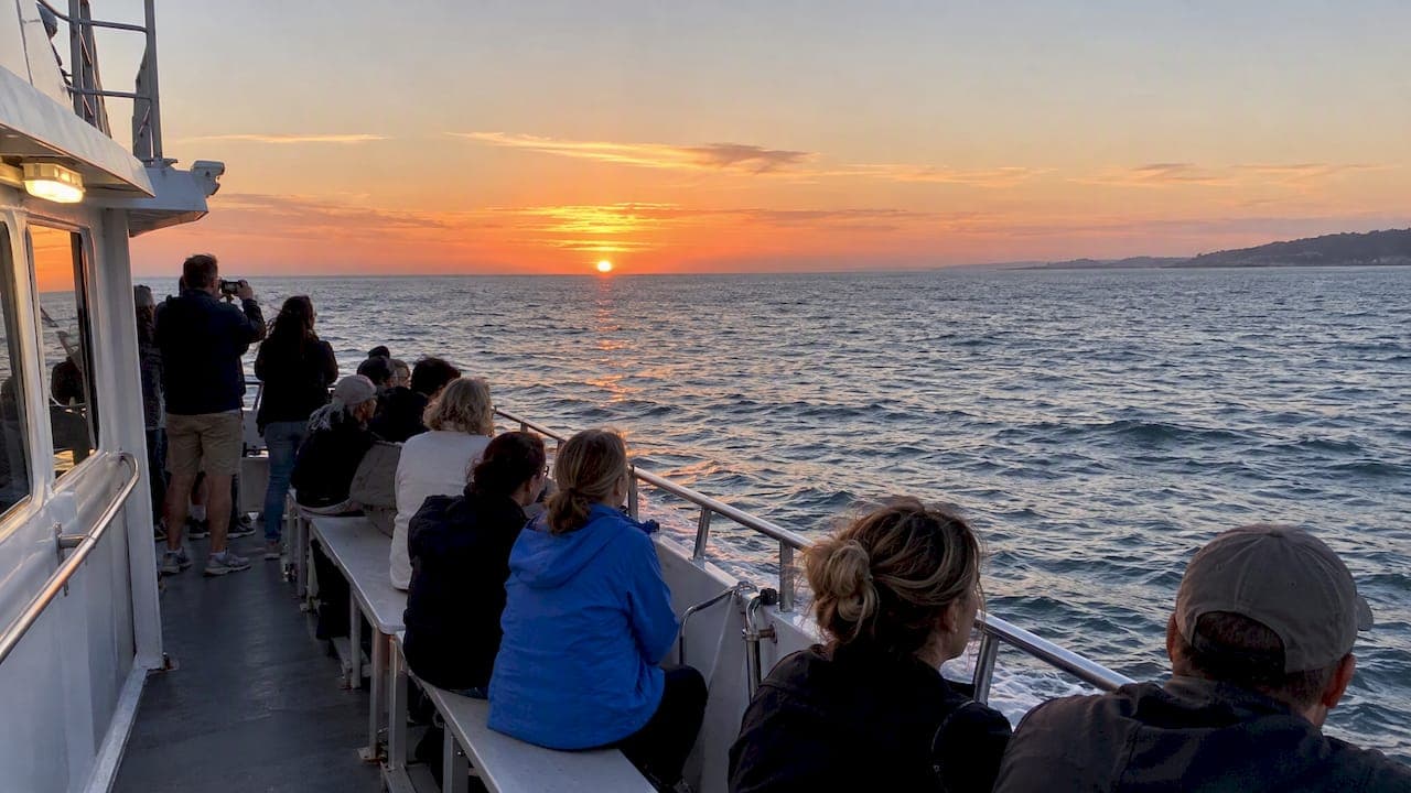 U.S. Coast Sunset Cruises: 5 Quick Criteria to Book the Right Trip