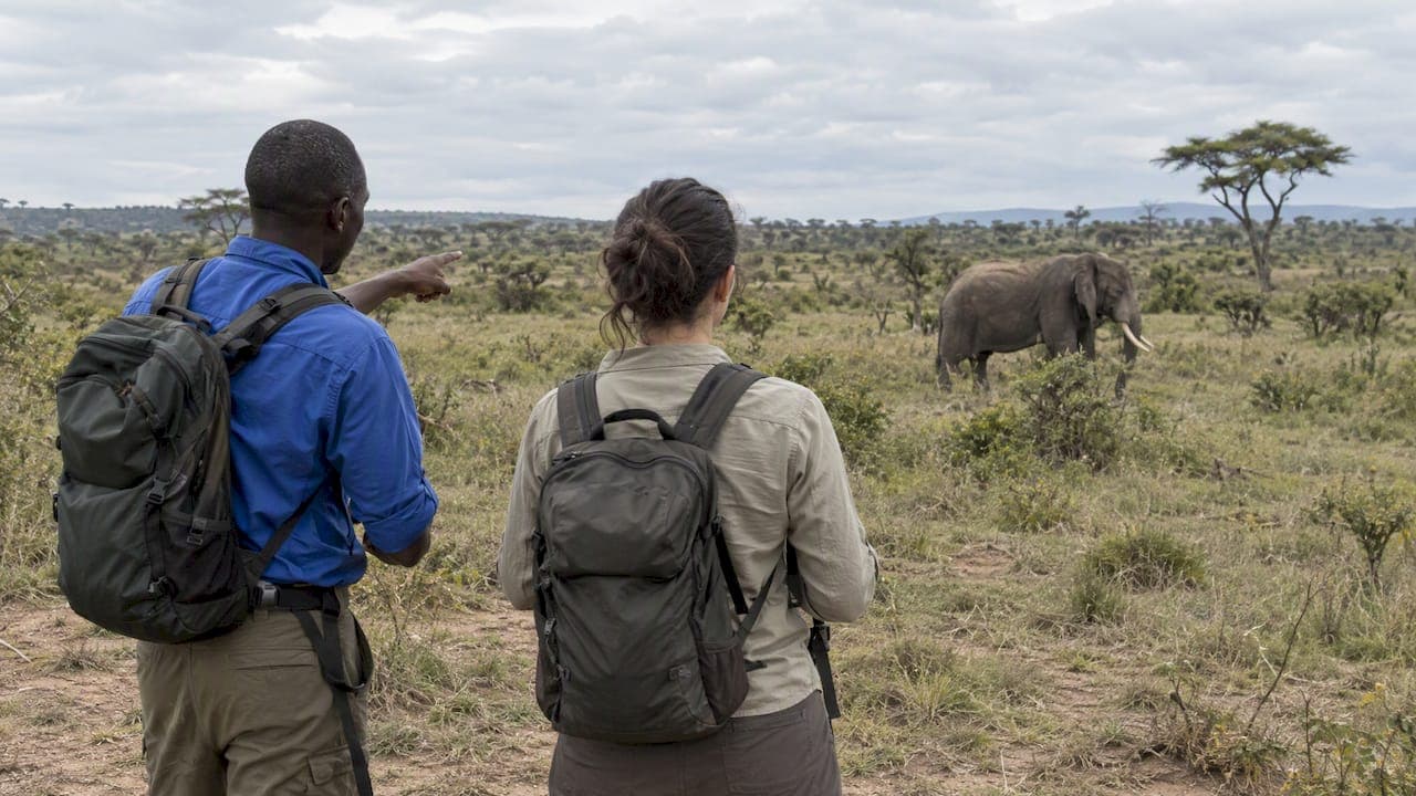 Eco Tours: 5 Operator Checks, Top Destinations, and Wildlife Red Lines