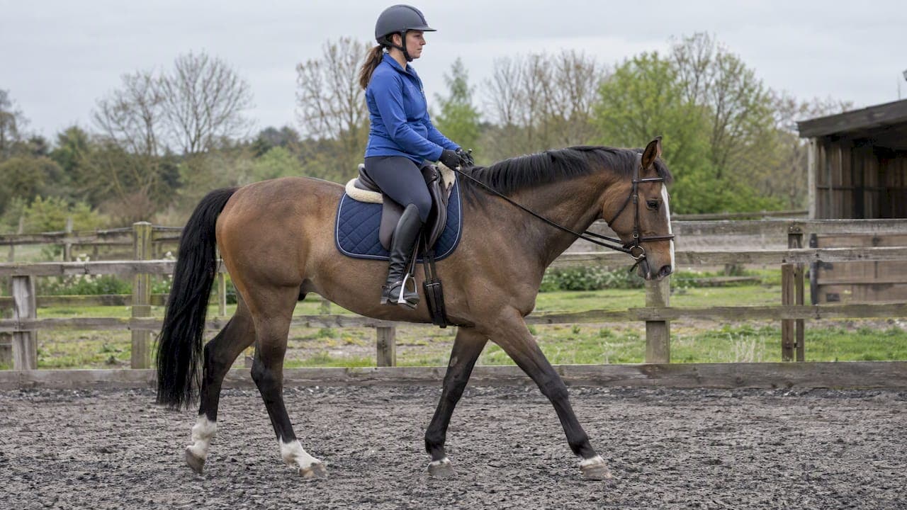 Horseback Riding Weight Limit: Why 20% Is Only a Starting Point